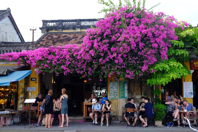 Mùa hè cũng là mùa hoa giấy nở ngập tràn ở Hội An, thu hút ánh nhìn của du khách. Mùa hè cũng là mùa hoa giấy nở ngập tràn ở Hội An, thu hút ánh nhìn của du khách.