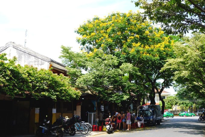 Những cây hoa điệp cũng nở vàng rực và rụng đầy trên phố, trên mái nhà. Trong hình là góc phố Phan Chu Trinh nơi có hàng bánh mì Phượng nổi tiếng. Quán nhỏ mỗi ngày đón hàng trăm khách nằm nép mình dưới bóng điệp. Những cây hoa điệp cũng nở vàng rực và rụng đầy trên phố, trên mái nhà. Trong hình là góc phố Phan Chu Trinh nơi có hàng bánh mì Phượng nổi tiếng. Quán nhỏ mỗi ngày đón hàng trăm khách nằm nép mình dưới bóng điệp.
