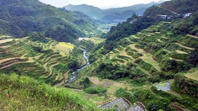 Ruộng bậc thang vùng Cordillera, Philippines  Hơn 2.000 năm qua, người dân tộc Ifugao ở Cordillera, Philippines đã trồng lúa trên những thửa ruộng bậc thang. Tuy nhiên, nhiệt độ tăng lên và lượng mưa ngày càng nhiều đang ảnh hưởng đến việc canh tác. Ngoài ra, các cơn bão mạnh sẽ làm giảm độ ổn định của các thửa ruộng, gây xói mòn, lở đất.