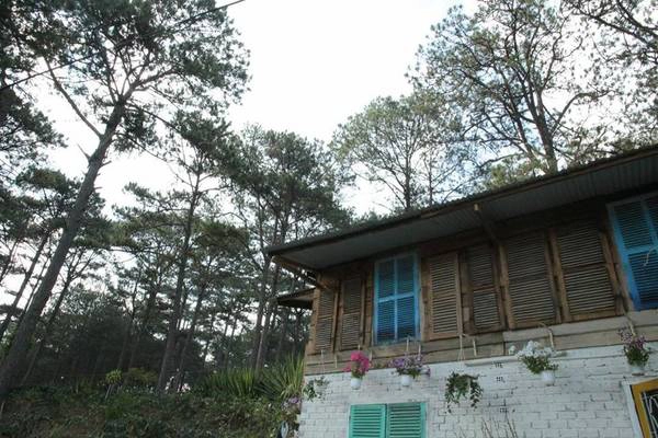 Nằm giữa những hàng thông ngút ngàn, nhưng HomeFarm chỉ cách trung tâm có 10 phút di chuyển. Nằm giữa những hàng thông ngút ngàn, nhưng HomeFarm chỉ cách trung tâm có 10 phút di chuyển.