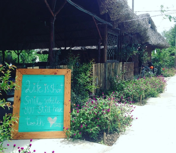 Ảnh: springfieldcottage Ảnh: springfieldcottage