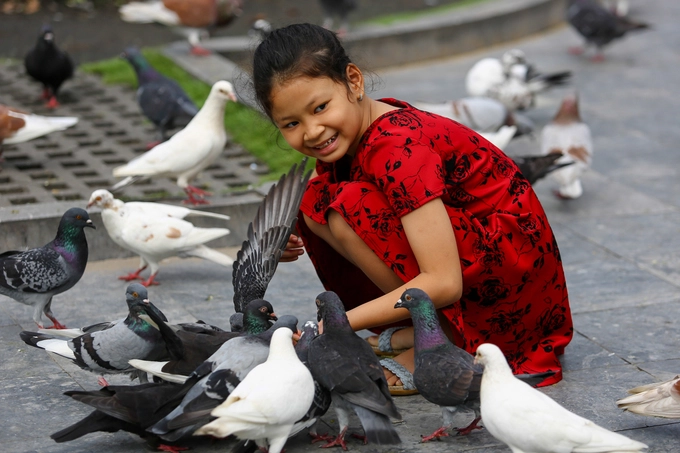 "Con rất thích đàn bồ câu ở nhà thờ vì chúng dễ thương và thông minh", Kim Yến (10 tuổi), chia sẻ. "Con rất thích đàn bồ câu ở nhà thờ vì chúng dễ thương và thông minh", Kim Yến (10 tuổi), chia sẻ.