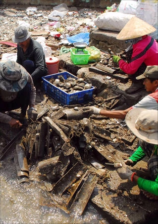Người dân đang thu hoạch hàu trên đảo. Hòn đảo tuy nhỏ bé nhưng đồ ăn phong phú, độc đáo và đặc biệt là rất rẻ, tập trung trên một con đường chính ở trung tâm đảo. Ảnh: Lê Mạnh Linh.