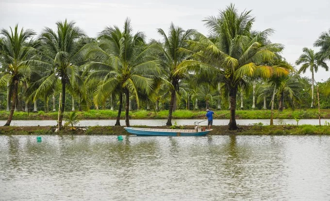 Đảo Cồn Sơn nằm giữa sông Hậu là điểm du lịch sinh thái hút khách những năm gần đây bởi khung cảnh miền Tây đặc trưng và cách làm mới lạ. Hòn đảo rộng 74 ha là nơi sinh sống của khoảng 60 hộ dân. Trong đó có 20 hộ cùng nhau làm du lịch cộng đồng, mỗi hộ tạo ra một sản phẩm riêng biệt, lợi nhuận chia đều.