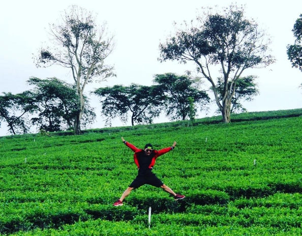 Đồi chè Tâm Châu Bảo Lộc. Ảnh:@toanla_travelholic