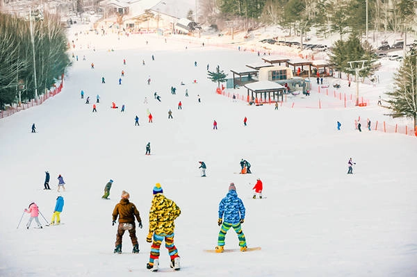 Ảnh: Yongpyong Ski Resort Ảnh: Yongpyong Ski Resort