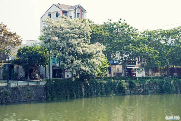 hue-yeu-kieu-trong-mua-xoan-no-ivivu-11