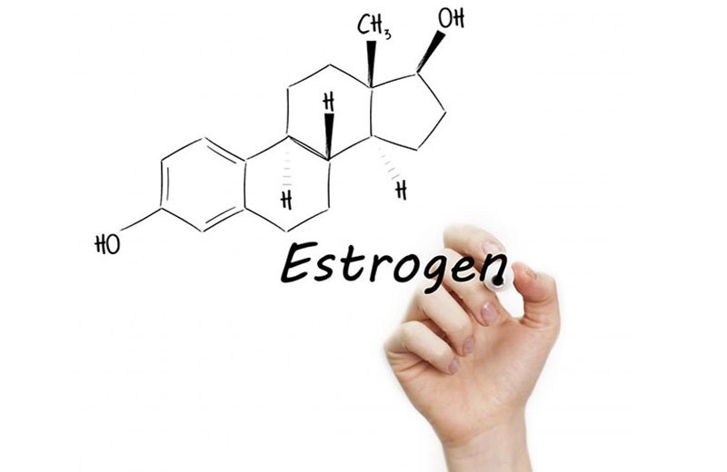 chỉ số estradiol