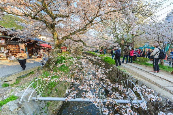 Vẻ đẹp lãng mạn của con đường Triết học - Tetsugaku-no-Michi. Ảnh: japanhoppers