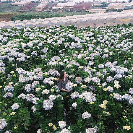 Ảnh: pegakhinn