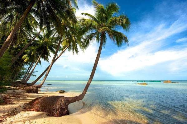 Vẻ đẹp quyến rũ của Phú Quốc. Ảnh: Vietnamguides.abstravel Vẻ đẹp quyến rũ của Phú Quốc. Ảnh: Vietnamguides.abstravel
