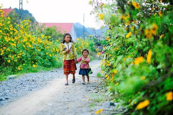 Thậm chí cả lúc chúng kết nụ lúc thu sang cũng không làm con người mảy may rung động. Rồi bất chợt một ngày, người ta chợt nhận ra đông đã về, thông qua từng cơn gió, và qua sắc dã quỳ bất chợt bừng lên bên hiên nhà. 