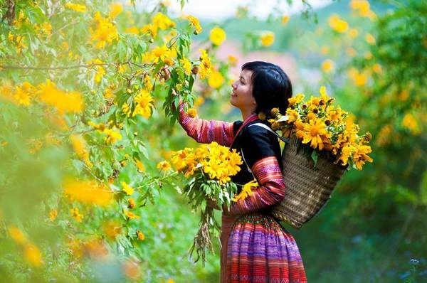 Nhưng hãy tin rằng, những "ông mặt trời nhỏ" này hoàn toàn đủ sức chinh phục bạn ngay từ cái nhìn đầu tiên. Hãy để dã quỳ, cùng với lòng mến khách của người Mộc Châu, sưởi ấm bạn trong những ngày đông của vùng sơn cước.  