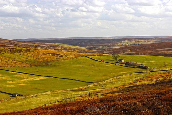 Ngọn đồi thoai thoải đầy sắc màu - Ảnh: flickr huyen-bi-yorkshire-doi-gio-hu-ivivu-10