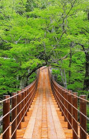 Mùa hè đến Ibaraki, du khách cũng có thể ghé thăm thung lũng Hananuki với khung cảnh thơ mộng, xanh mướt.