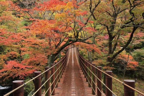 Thung lũng Hananuki là nơi ngắm lá phong lý tưởng. Cảnh sắc nơi này biến đổi theo mùa khiến du khách có dịp quay lại vào thời điểm khác trong năm không khỏi ngỡ ngàng.