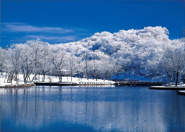 Mùa đông, cây cối ở Ibaraki trở nên trơ trụi, nhưng những bông tuyết trắng đã tạo nên nét quyến rũ riêng cho vùng đất thiên nhiên hùng vĩ này.