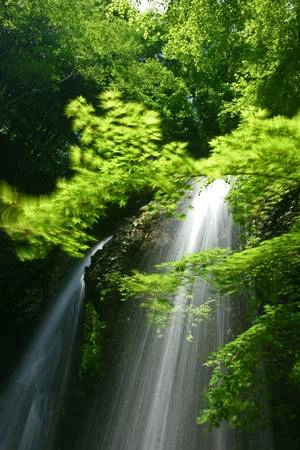Mùa hạ, hãy đến Ibaraki ngắm nhìn thác Fukuroda, được mệnh danh đẹp thứ 3 tại Nhật Bản. Thác cao 120 m, rộng 75 m, chia thành 4 tầng. Vào mỗi mùa, thác lại có vẻ đẹp khác nhau.