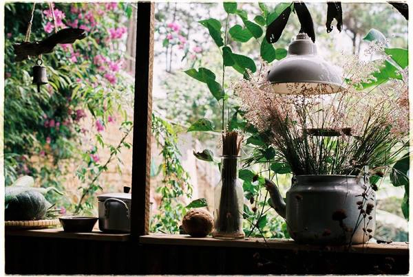 Ảnh: Facebook INDIgo home Ảnh: Facebook INDIgo home