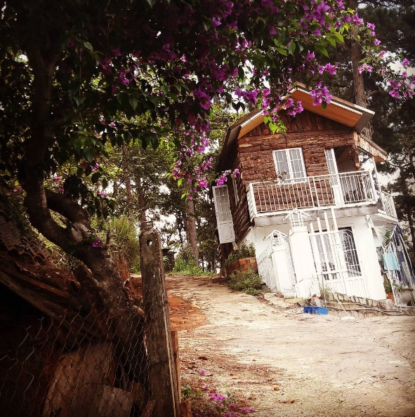 Ảnh: nguyenvan672 Ảnh: nguyenvan672