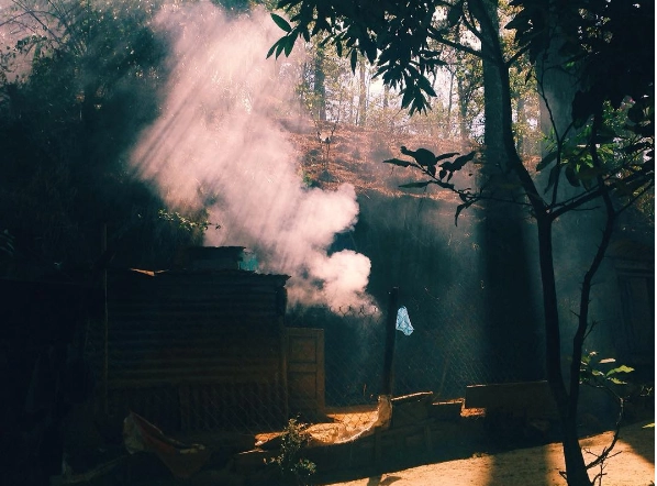 Ảnh: indigohomegohome Ảnh: indigohomegohome