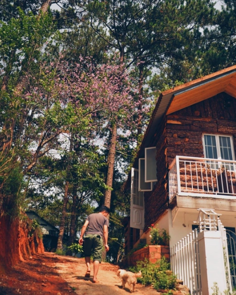 Ảnh: indigohomegohome Ảnh: indigohomegohome