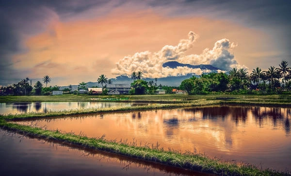 Đảo Sumatra Đảo Sumatra là điểm đến của những người yêu thích thiên nhiên. Vườn Quốc gia Kerinci Seblat là nơi duy nhất trên thế giới du khách có thể thấy nhiều loài động vật quý hiếm, sắp tuyệt chủng như hổ Sumatra, hổ Bali, hổ Javan, tê giác hai sừng, Rafflesia arnoldii - loài hoa lớn nhất thế giới, có mùi như xác chết. Đảo Sumatra Đảo Sumatra là điểm đến của những người yêu thích thiên nhiên. Vườn Quốc gia Kerinci Seblat là nơi duy nhất trên thế giới du khách có thể thấy nhiều loài động vật quý hiếm, sắp tuyệt chủng như hổ Sumatra, hổ Bali, hổ Javan, tê giác hai sừng, Rafflesia arnoldii - loài hoa lớn nhất thế giới, có mùi như xác chết.