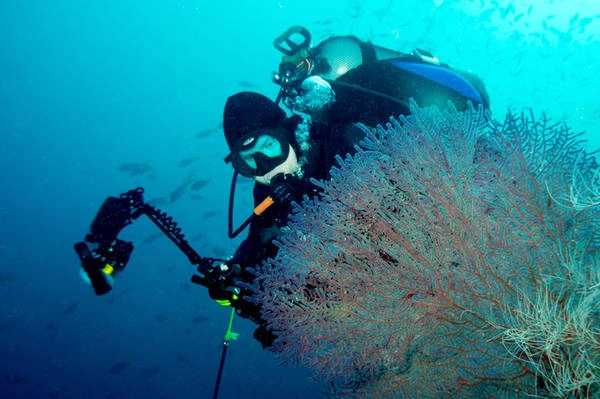 Quần đảo Raja Ampat Nằm ngoài khơi bờ biển Papua, quần đảo Raja Ampat được nhiều người bình chọn là một trong những địa điểm lặn biển lý tưởng nhất thế giới. Với những rạn san hô nguyên sinh là nơi cư trú của hàng ngàn loài cá, du khách sẽ dễ dàng bắt gặp sên biển, cá đuối Manta, và cá mập Epaulette, cùng nhiều loài khác. Có rất nhiều khu nghỉ dưỡng và tàu lặn cho du khách lựa chọn nơi nghỉ ngơi. Quần đảo Raja Ampat Nằm ngoài khơi bờ biển Papua, quần đảo Raja Ampat được nhiều người bình chọn là một trong những địa điểm lặn biển lý tưởng nhất thế giới. Với những rạn san hô nguyên sinh là nơi cư trú của hàng ngàn loài cá, du khách sẽ dễ dàng bắt gặp sên biển, cá đuối Manta, và cá mập Epaulette, cùng nhiều loài khác. Có rất nhiều khu nghỉ dưỡng và tàu lặn cho du khách lựa chọn nơi nghỉ ngơi.