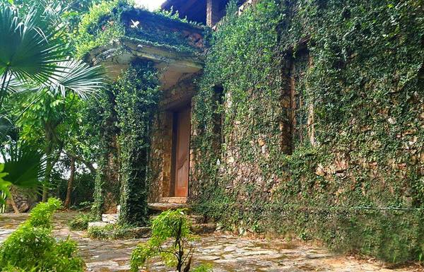 Jungle-house-bac-ninh-ivivu-1