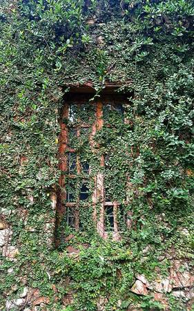 Jungle-house-bac-ninh-ivivu-5