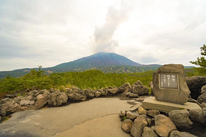 Tỉnh Kagoshima thuộc vùng Kyushu là tỉnh miền Nam của Nhật Bản. Đây là vùng đất có nhiều núi lửa bậc nhất tại Nhật Bản. Trong đó, đảo Sakurajima (đảo hoa anh đào) có núi lửa “mạnh khoẻ” nhất với tần suất hoạt động gần như hàng ngày trong năm.