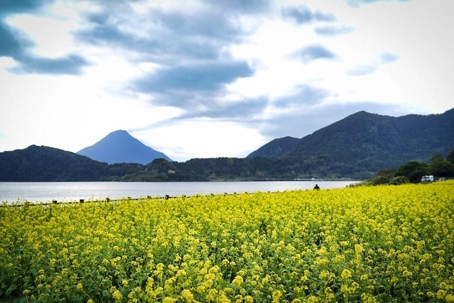 Ngoài Sakurajima, tỉnh Kagoshima còn có nhiều núi lửa đã “nghỉ ngơi”. Nổi bật nhất là núi Kaimon (Kaimonndake) bên cạnh hồ Ikeda thuộc thành phố Ibusuki đã ngưng nghỉ sau đợt phun trào vào năm 885. Hồ Ikeda được hình thành sau một đợt núi lửa phun trào hơn 6400 năm trước, và là hồ nước được hình thành từ núi lửa lớn nhất vùng Kyushu của Nhật Bản. Dọc hồ Ikeda nước xanh thẫm yên bình là công viên với cánh đồng hoa cải vàng hoặc hoa cúc sao nháy (hoa cosmos) ngập tràn trong gió.