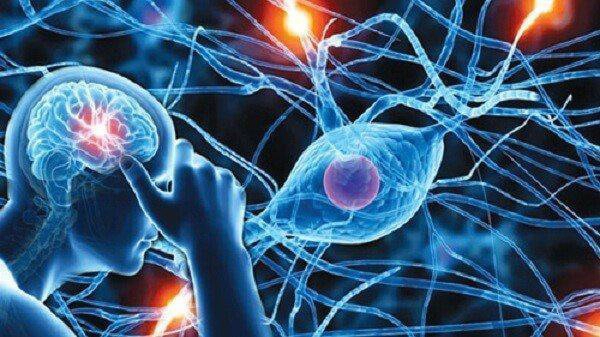 kẽm có vai trò gì với hệ thần kinh