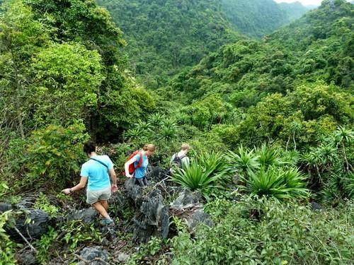 Trekking xuyên rừng ở Cát Bà. Ảnh: Vamvo.