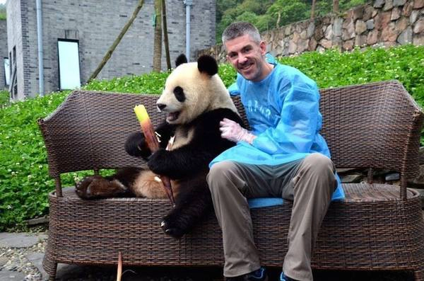 Du khách khi đến với Panda Ark có hai lựa chọn: hoặc tham quan đơn thuần, hoặc đăng ký dưới dạng tình nguyện viên trải nghiệm trọn vẹn một ngày để hiểu thêm về cuộc sống hoang dã của loài gấu trúc, như cách chăm sóc, làm sạch lông, cho ăn hay cách ôm ấp vuốt ve chúng. Những cái ôm đôi khi chỉ kéo dài 30 giây nhưng lại là kỷ niệm khiến Matt nhớ mãi. Du khách khi đến với Panda Ark có hai lựa chọn: hoặc tham quan đơn thuần, hoặc đăng ký dưới dạng tình nguyện viên trải nghiệm trọn vẹn một ngày để hiểu thêm về cuộc sống hoang dã của loài gấu trúc, như cách chăm sóc, làm sạch lông, cho ăn hay cách ôm ấp vuốt ve chúng. Những cái ôm đôi khi chỉ kéo dài 30 giây nhưng lại là kỷ niệm khiến Matt nhớ mãi.