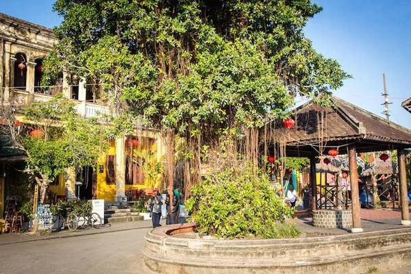Michael Turtle từng làm việc trong ngành báo chí trong hơn 10 năm ở Australia. Sau đó, anh rời Sydney, bắt đầu chuyến du lịch thế giới không hồi kết. Anh đến Việt Nam và Hội An là cái tên đầu tiên xuất hiện trong danh sách điểm đến nhất định phải ghé thăm.
