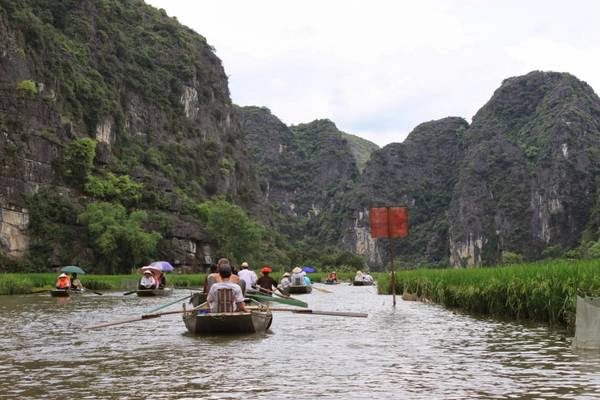 Du thuyền trên sông Ngô Đồng 