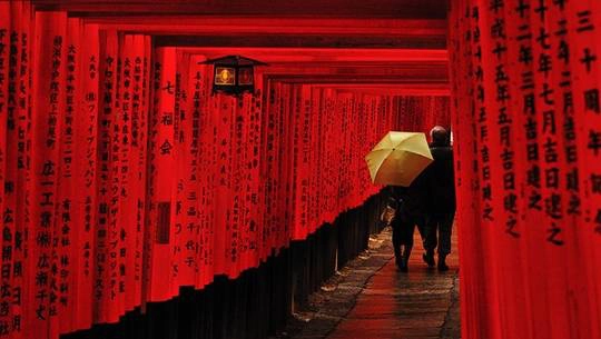 Fushimi Inari Taisha ở Kyoto, Nhật Bản