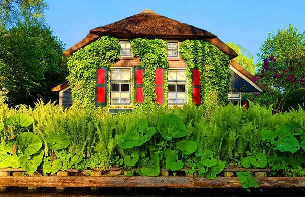 Ở Giethoorn, khói bụi và tiếng còi của xe cộ không tồn tại. Khi đến đây, mọi người phải để lại xe hơi bên ngoài làng, thuê thuyền mà người dân gọi là “Whisper boat” (thuyền thì thầm) có động cơ không gây tiếng ồn để “tiếp cận” ngôi làng, hoặc có thể đi bộ qua hơn 176 cây cầu vòm bằng gỗ. Ở Giethoorn, khói bụi và tiếng còi của xe cộ không tồn tại. Khi đến đây, mọi người phải để lại xe hơi bên ngoài làng, thuê thuyền mà người dân gọi là “Whisper boat” (thuyền thì thầm) có động cơ không gây tiếng ồn để “tiếp cận” ngôi làng, hoặc có thể đi bộ qua hơn 176 cây cầu vòm bằng gỗ.