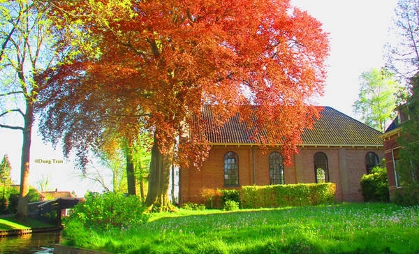 Mỗi mùa, Giethoorn lại khoác một chiếc áo mới. Tôi đến Giethoorn vào những ngày đầu hè. Bầu trời trong vắt, ánh nắng chiếu xuống những tán cây rực rỡ và nụ hoa tulip cuối xuân còn sót lại… Mỗi mùa, Giethoorn lại khoác một chiếc áo mới. Tôi đến Giethoorn vào những ngày đầu hè. Bầu trời trong vắt, ánh nắng chiếu xuống những tán cây rực rỡ và nụ hoa tulip cuối xuân còn sót lại…