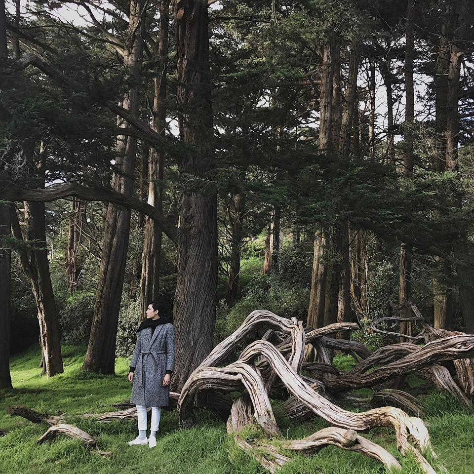 Golden Gate Park: Công viên giống như một khu rừng xanh trong những bộ phim Hollywood. Đi bộ giữa một công viên xanh vào mỗi buổi sáng để tinh thần luôn thoải mái cũng là một trải nghiệm tuyệt vời. Golden Gate Park: Công viên giống như một khu rừng xanh trong những bộ phim Hollywood. Đi bộ giữa một công viên xanh vào mỗi buổi sáng để tinh thần luôn thoải mái cũng là một trải nghiệm tuyệt vời.