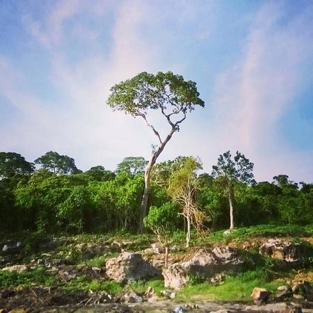 Mũi Gành Dầu. Ảnh: quanminh0810 Mũi Gành Dầu. Ảnh: quanminh0810