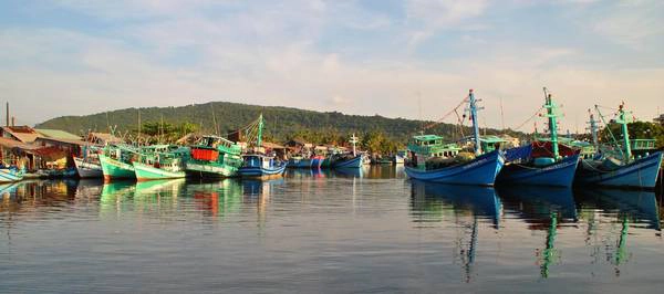 Ảnh: taxinoibai Ảnh: taxinoibai