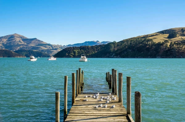 Yên bình ở Akaroa - Ảnh: forolia