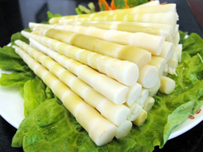 Cây le thuộc họ tre nứa khá điển hình trên vùng đất Tây Nguyên. Cây le thuộc họ tre nứa khá điển hình trên vùng đất Tây Nguyên.