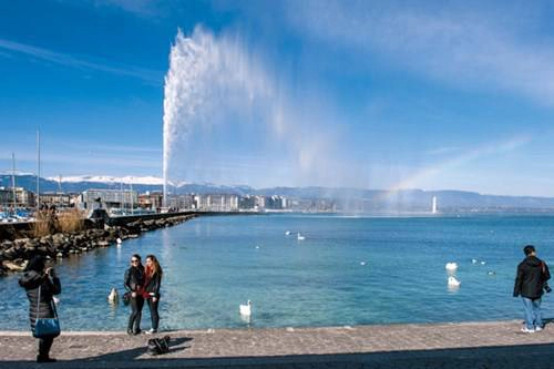 Hồ Geneve, vòi phun nước, thiên nga Hồ Geneve, vòi phun nước, thiên nga