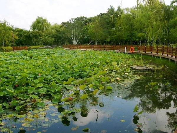 Vườn thực vật Hanbat. Vườn thực vật Hanbat.