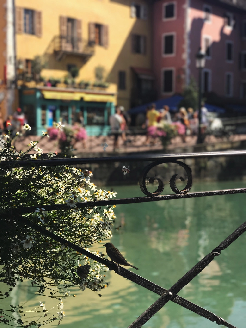 justgo-kham-pha-annecy-venice-cua-nuoc-phap-ivivu-9
