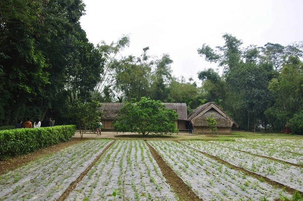 Làng Sen.