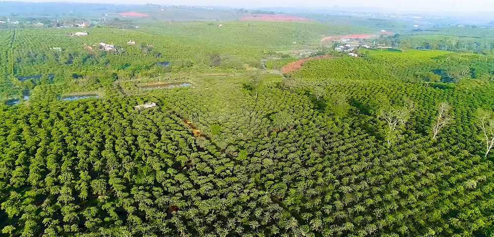 kham-pha-bao-loc-vien-ngoc-tho-dep-de-ivivu-3